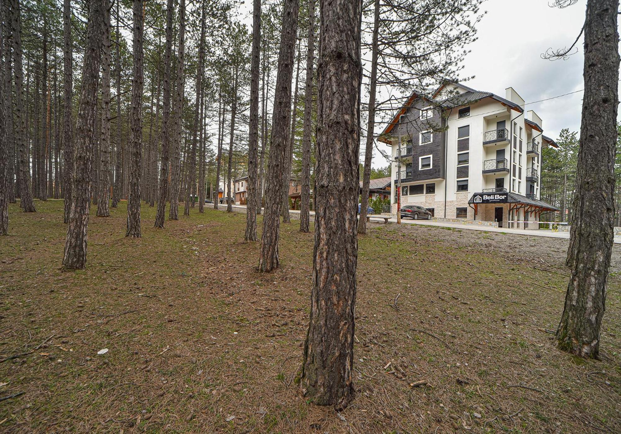 Beli Bor Zlatibor Aparthotel Luaran gambar